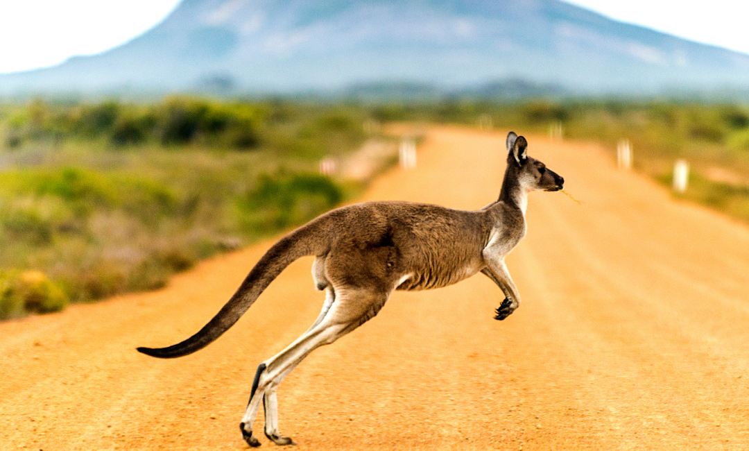 putovanje u australiju