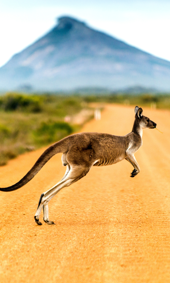 putovanje u australiju