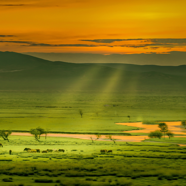 putovanje u mongoliju